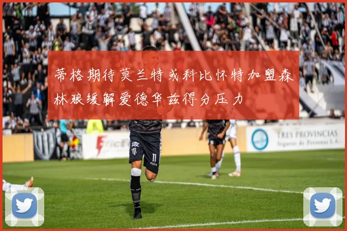 蒂格期待莫兰特或科比怀特加盟森林狼缓解爱德华兹得分压力
