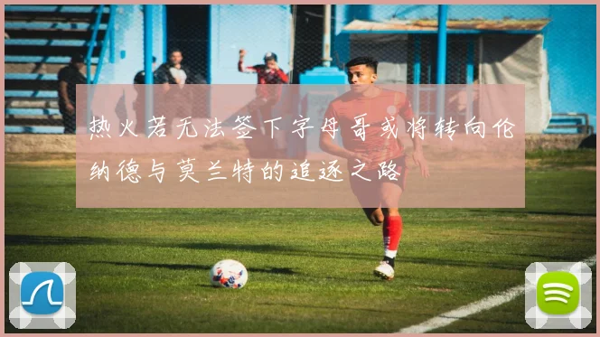 热火若无法签下字母哥或将转向伦纳德与莫兰特的追逐之路